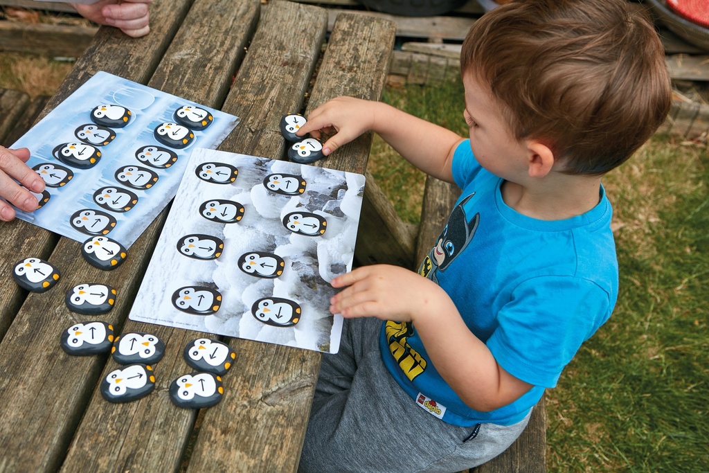 CARTES D'ACTIVITES, LES PINGOUINS