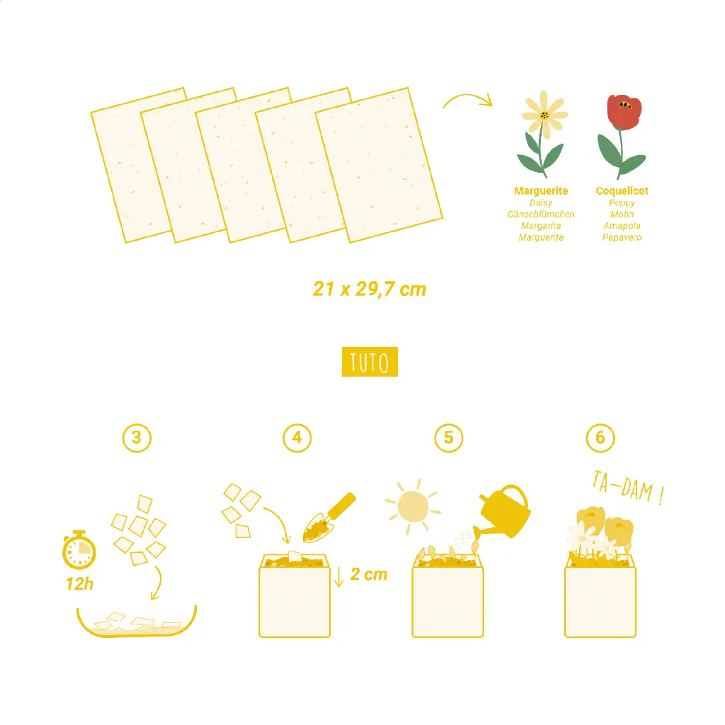 L110011 - VISUEL 6.webp