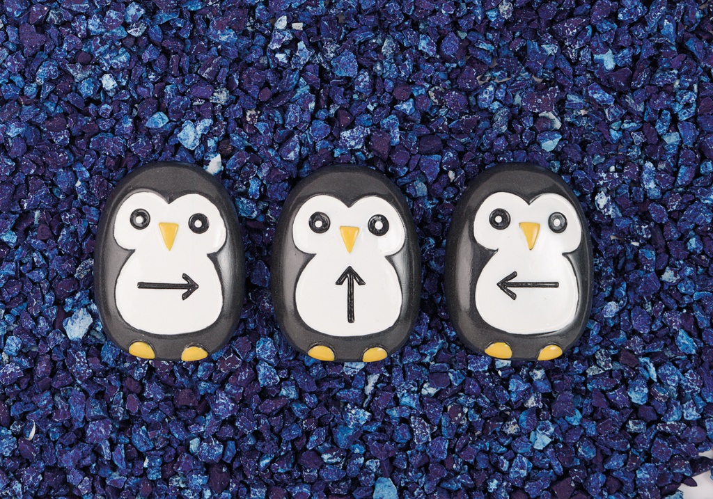 LES PINGOUINS, PRE-CODAGE