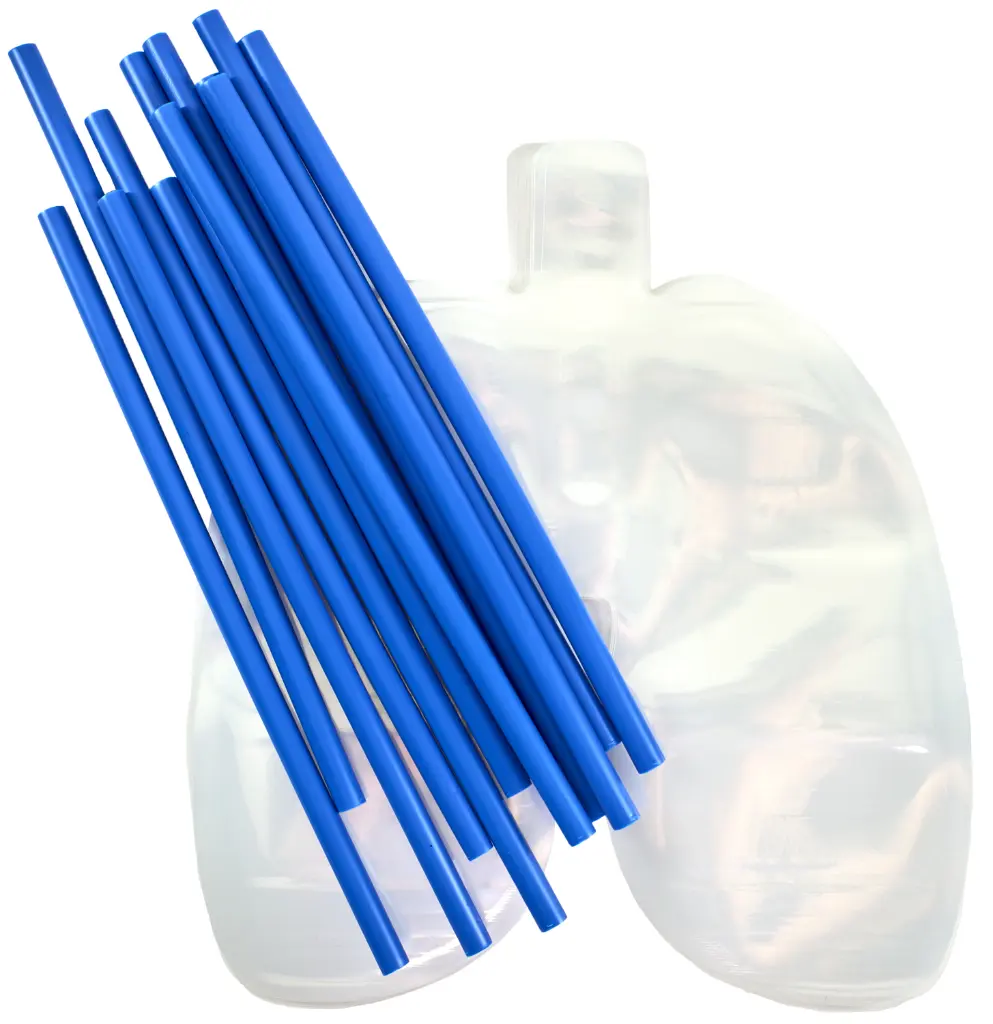 49850-Big-Breath-Respiratory-System-Model-CONTENTS SHOT-1500px.webp