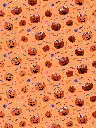 DP051C_5.webp