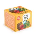 kit-pot-terre-cuite-11-cm-plante-eternelle-rose-de-jericho (1).webp