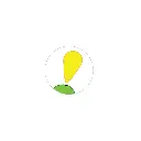 mikado-cactus (1).webp