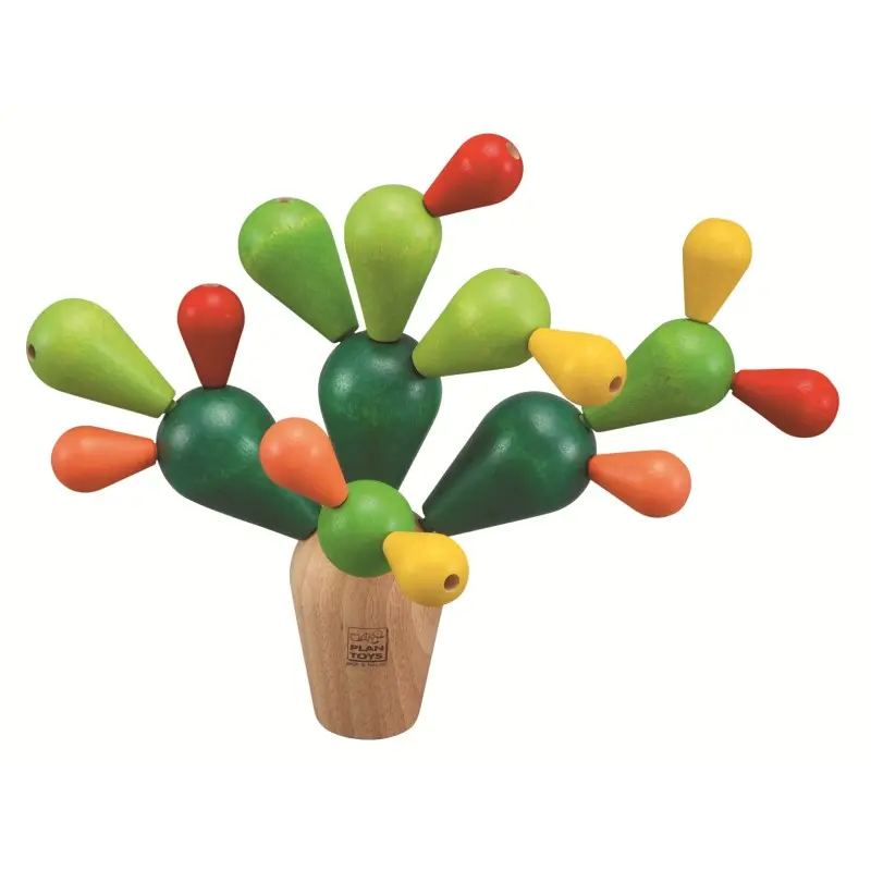 mikado-cactus (2).webp