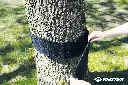 970701_Slackline_Montage_1_mit_Logo.webp