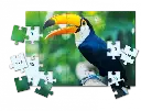 b9d15eed9eb73b1da5b049ee1cb988c4f37f01c90591c371e89ec7b64f1400ae.jpg.webp