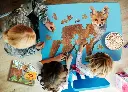 5124001_kids_1.webp