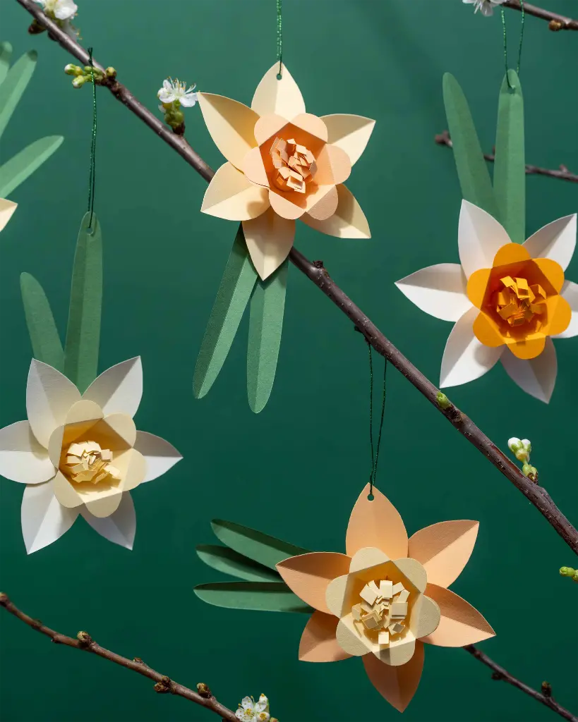 T2026-03_Tonpapier_Narzissen_BH_01.webp