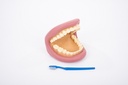 DENTIER GEANT