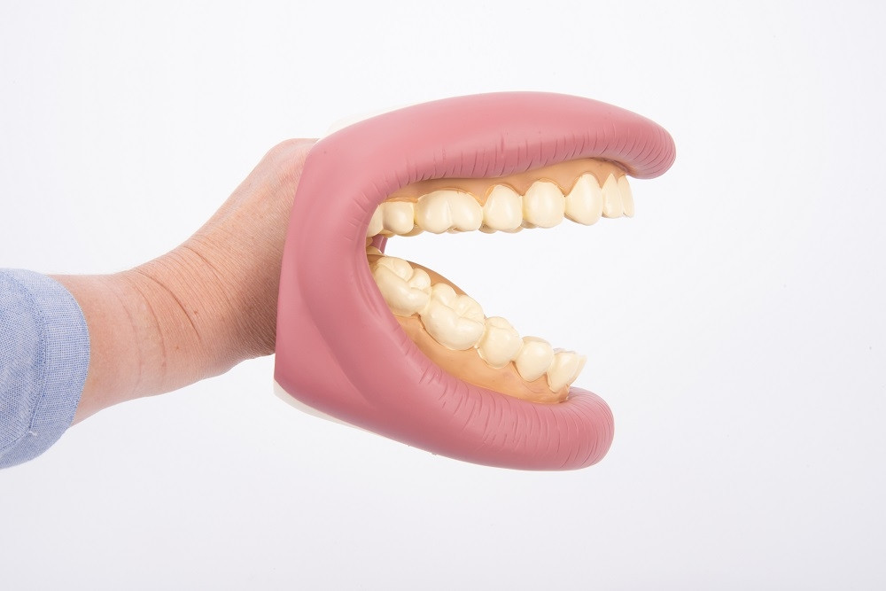 DENTIER GEANT