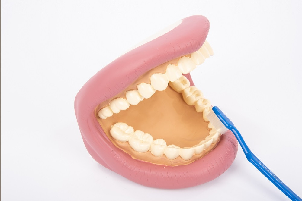 DENTIER GEANT