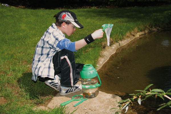 VIVARIUM