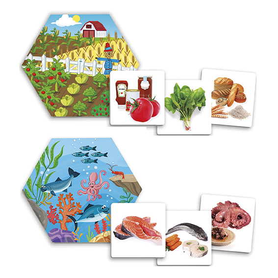 D'OU VIENNENT LES ALIMENTS?