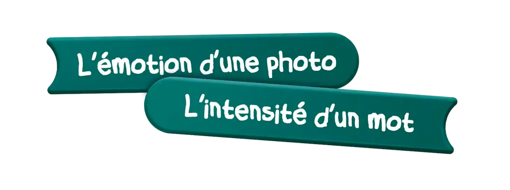 image_sup_1729238697.webp