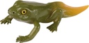 CYCLE DE VIE: LA GRENOUILLE* NOUVEAU