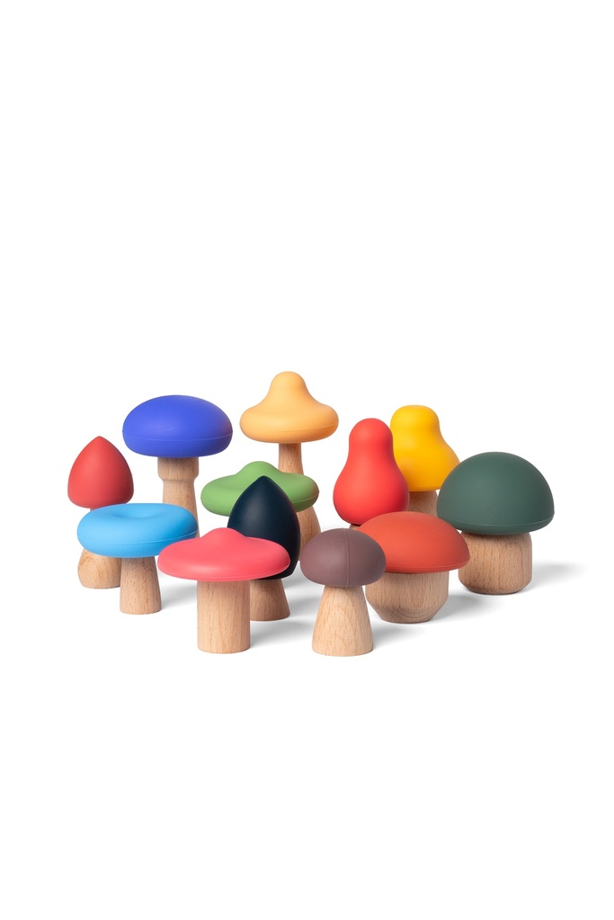 CHAMPIGNONS * NOUVEAU