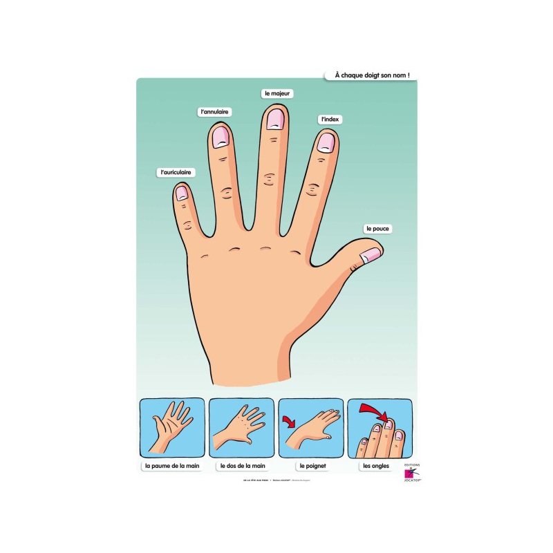 FICHIER DE LA TÊTE AUX PIEDS