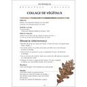 FICHIER : L'ECOLE DE L'ARBRE