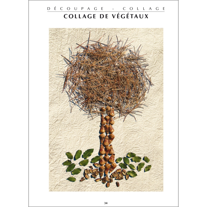FICHIER : L'ECOLE DE L'ARBRE