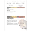 FICHIER : TECHNIQUES ARTISTIQUES