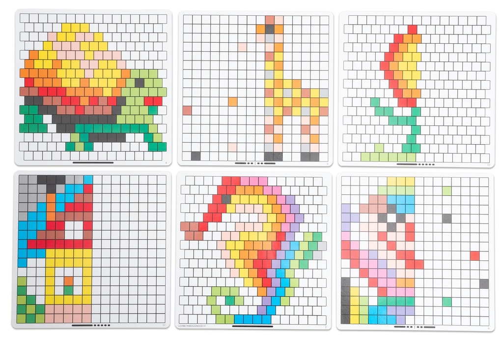 CARTES D'ACTIVITES