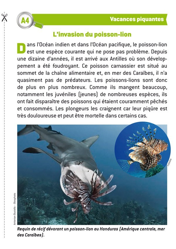 LES ENQUÊTES DE LA FOUINE, TOME 6