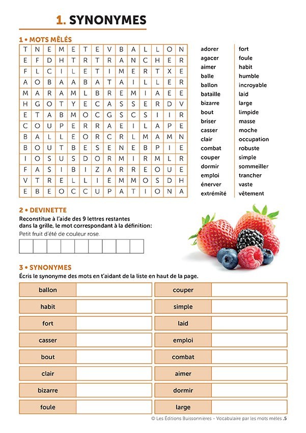 VOCABULAIRE PAR LES MOTS MÊLES, TOME 1