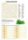 VOCABULAIRE PAR LES MOTS MELES TOME 2