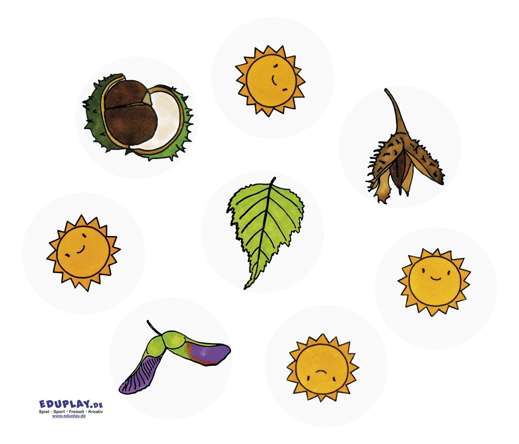 FEUILLES ET FRUITS,SET DE 10 TAMPON
