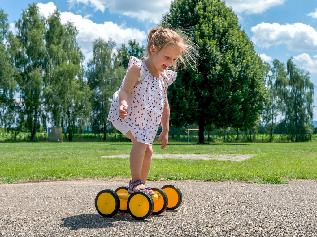 MAXI ROLLER