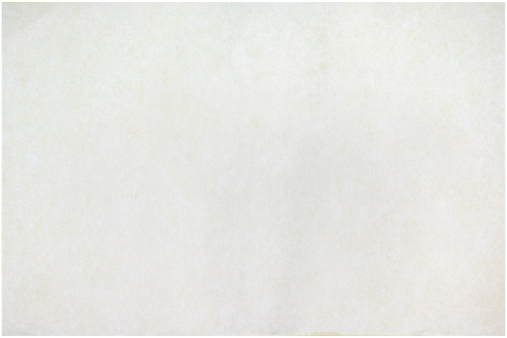 PAPIER DIFFUSEUR A4, PAQUET DE 50