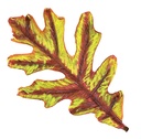 POCHOIRS NATURE LES FEUILLES, LOT DE 12
