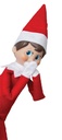 ELF ON THE SHELF, LE LUTIN ET LE LIVRE* NOUVEAU