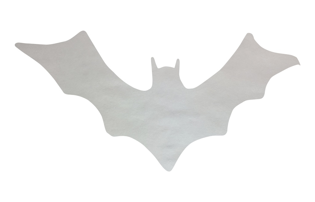 PAPIER DIFFUSEUR HALLOWEEN, 80F