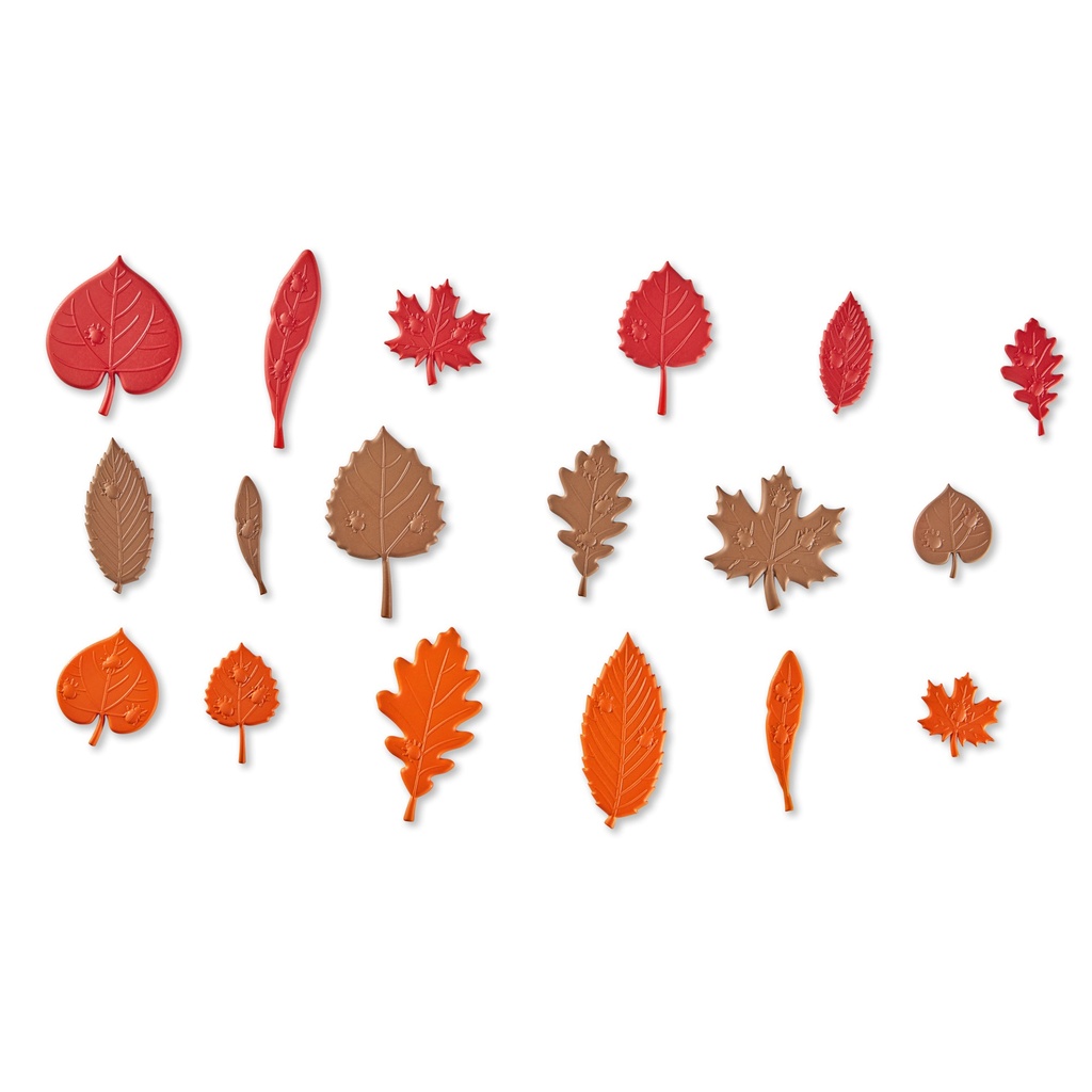 MES FEUILLES D'ARBRE SENSORIELLES