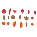 MES FEUILLES D'ARBRE SENSORIELLES