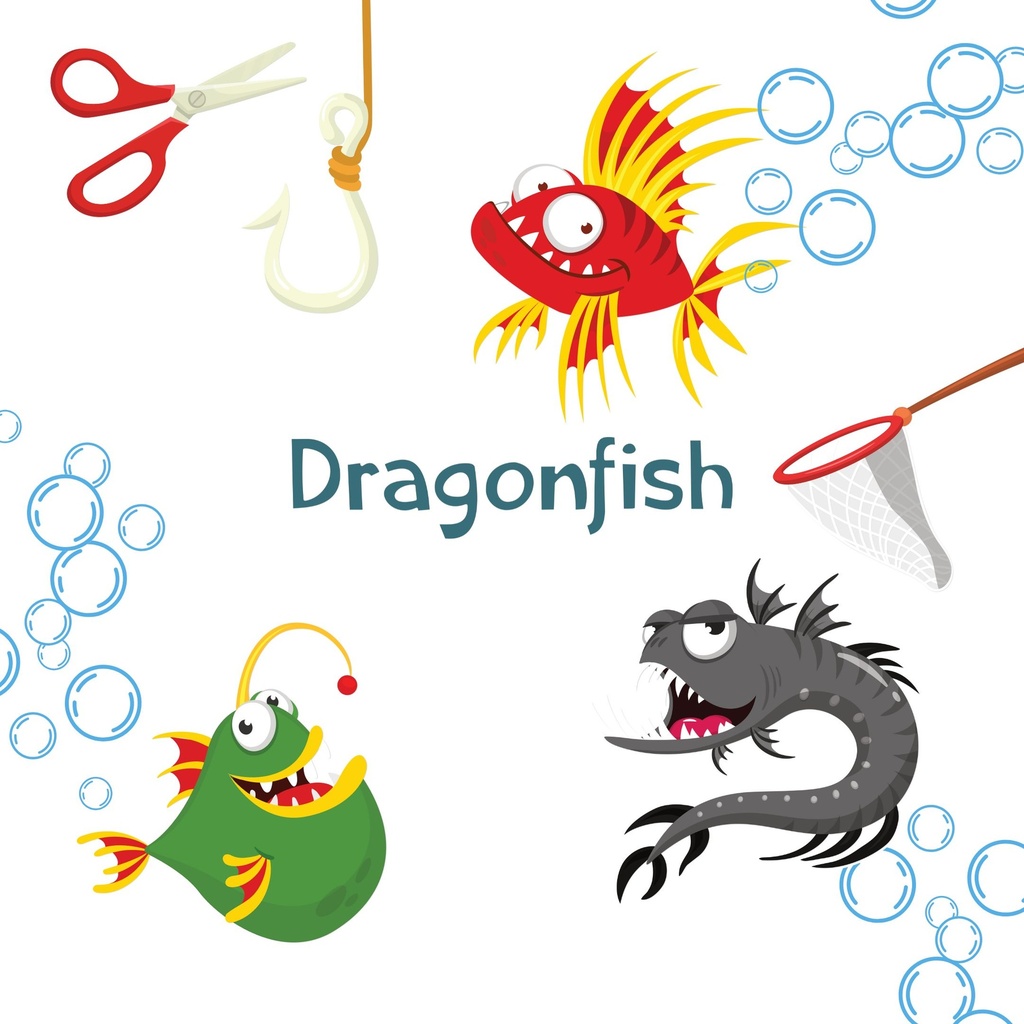 DRAGONFISH, JEU DE CARTES