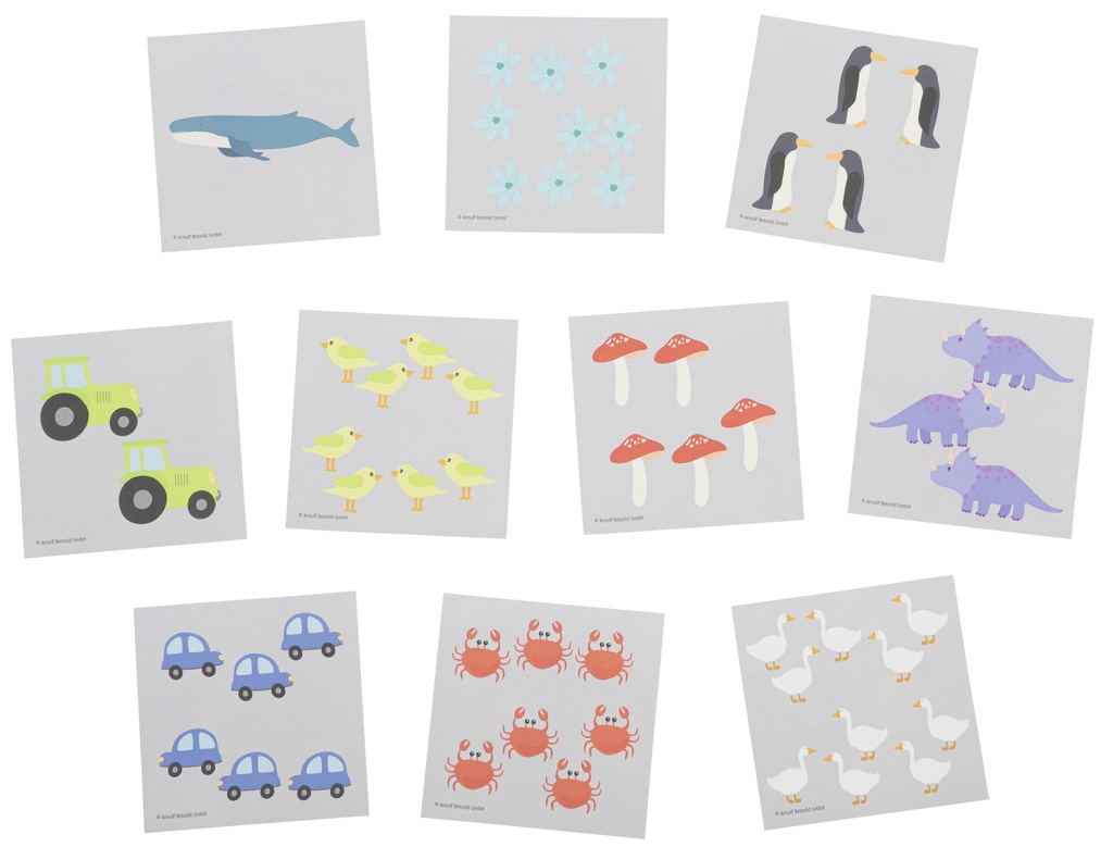 CARTES NUMERIQUES