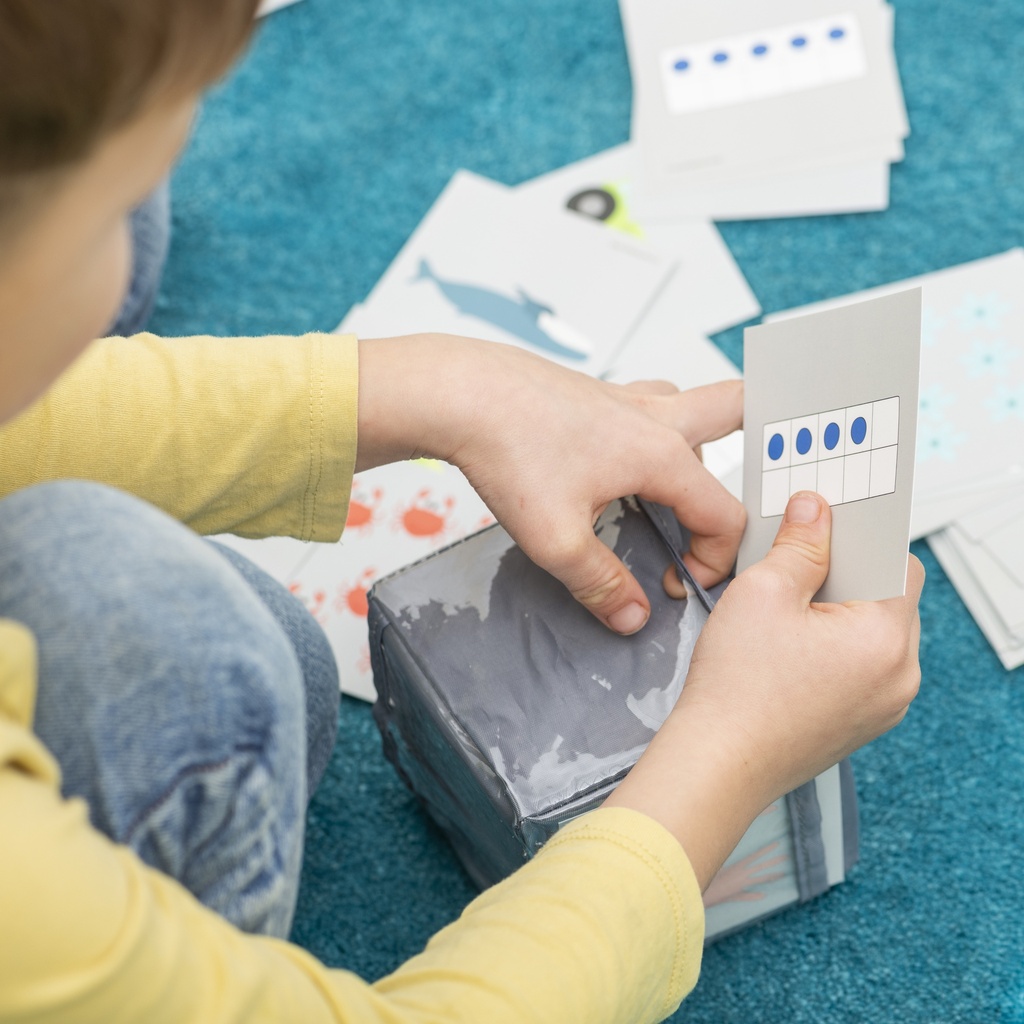 CARTES NUMERIQUES