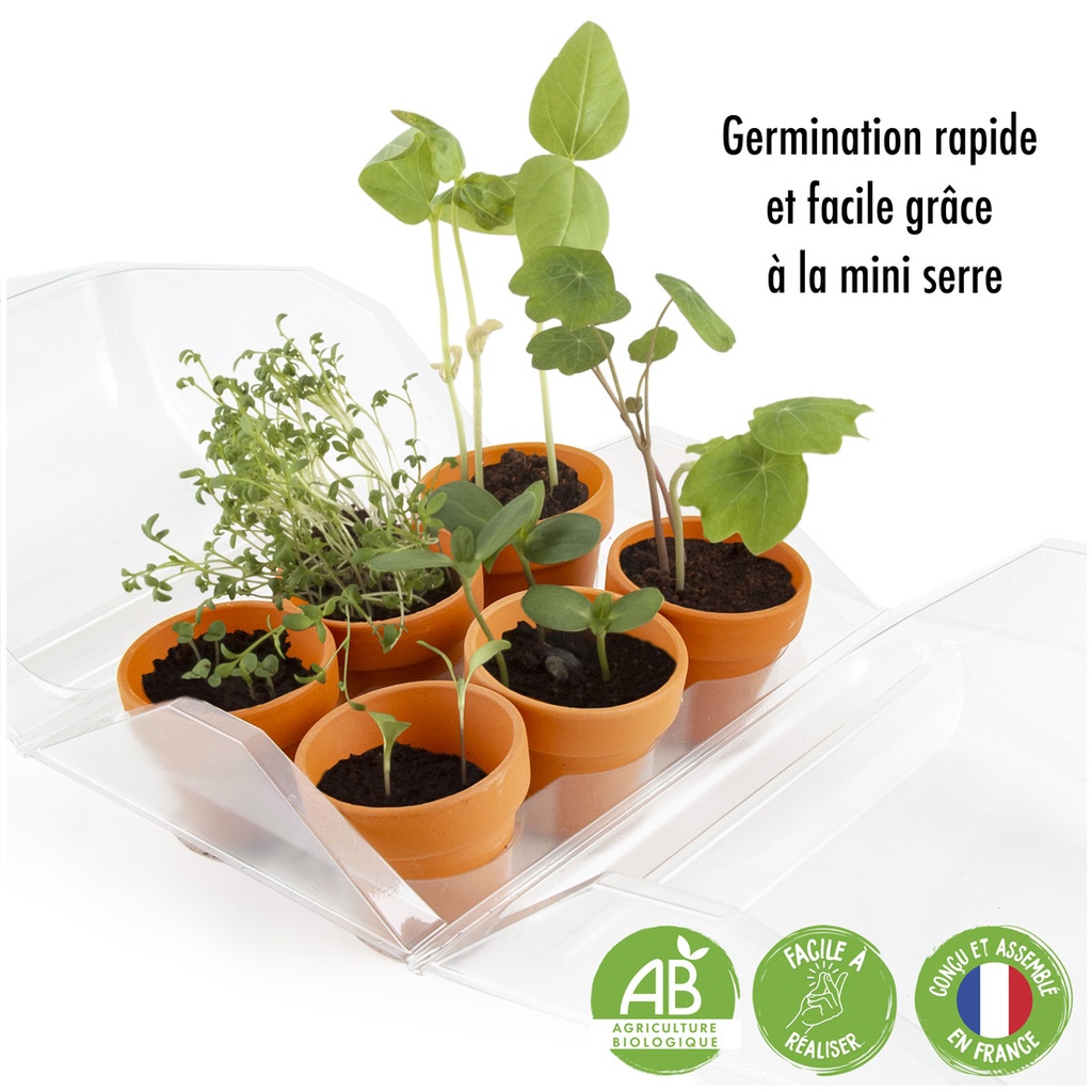 SERRE DE GERMINATION: MON 1ER JARDIN
