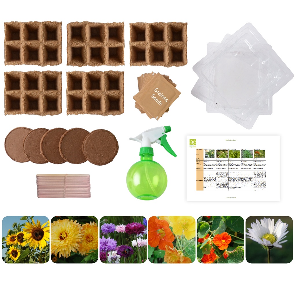 COFFRET ECOLE: 5 VARIÉTÉS DE FLEURS