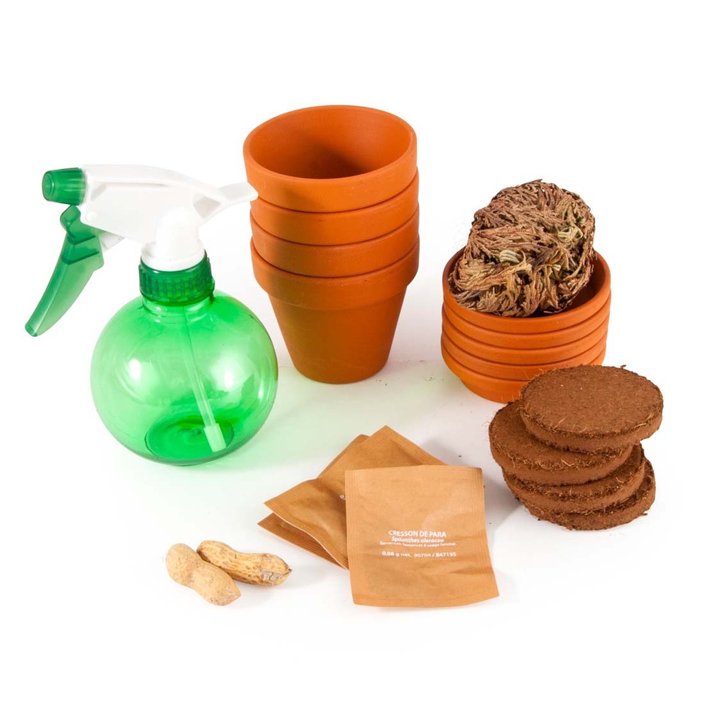 MES 5 PLANTES EXTRAORDINAIRES