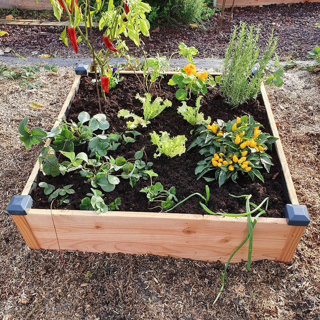 POTAGER EN BOIS DOUGLAS