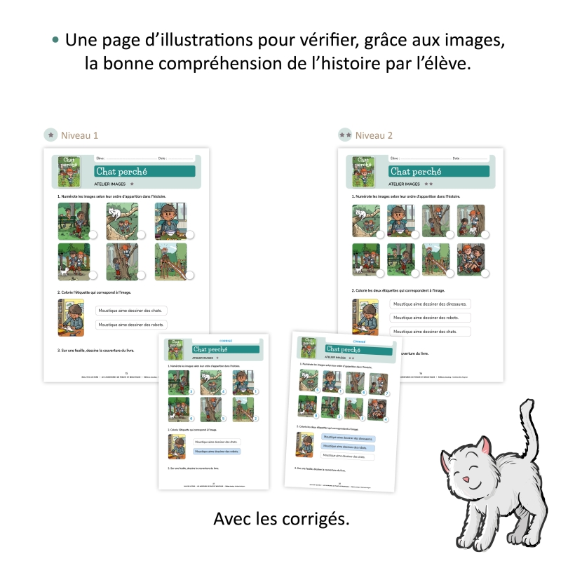 LES AVENTURES DE PIRATE ET MOUSTIQUE, LE FICHIER PÉDAGOGIQUE-NIVEAU2