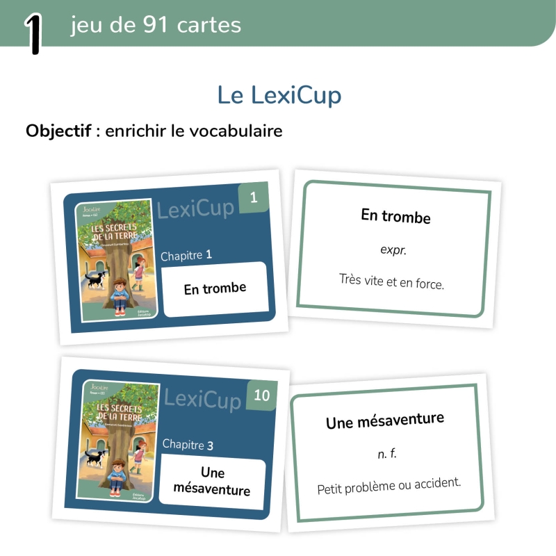 LES SECRETS DE LA TERRE, LE FICHIER