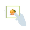IMAGIER: LES FRUITS