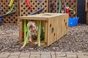 MINI TUNEL INTERACTIF