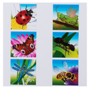 PUZZLES SÉRIE LES INSECTES, SET DE 6