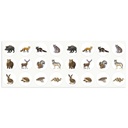 GOMMETTES ADHÉSIVES LES ANIMAUX, 4 ROULEAUX