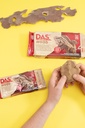 DAS PÂTE À BOIS, 350GR